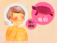 kame2