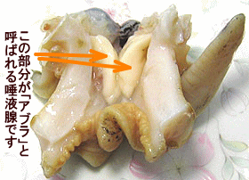 画像 貝料理の美味しいレシピ 休処