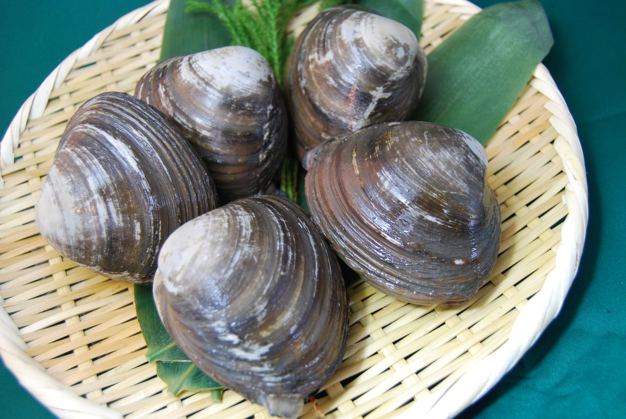 画像 貝料理の美味しいレシピ 休処