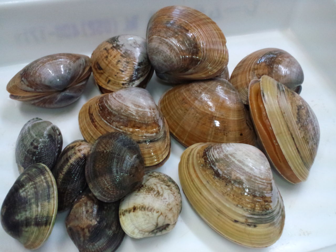 画像 貝料理の美味しいレシピ 休処