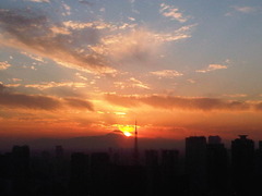 IMG00086-20111101-1638