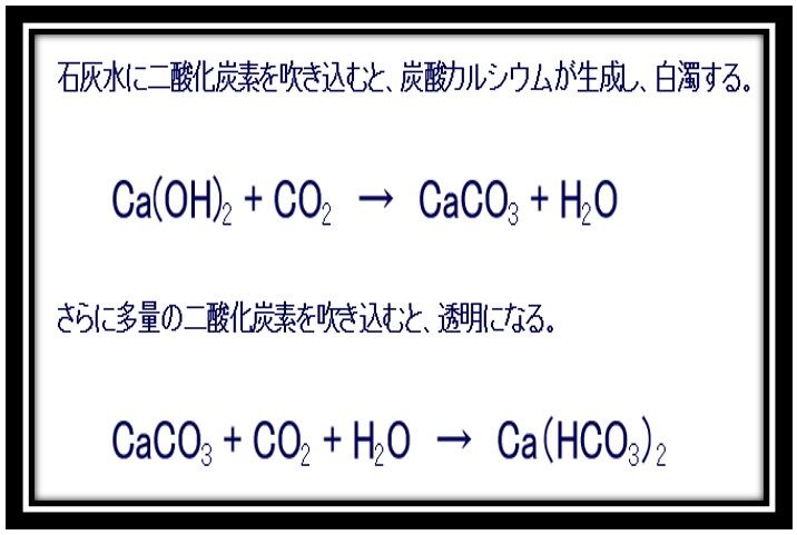ツルツルなのは 九頭龍鮎の会