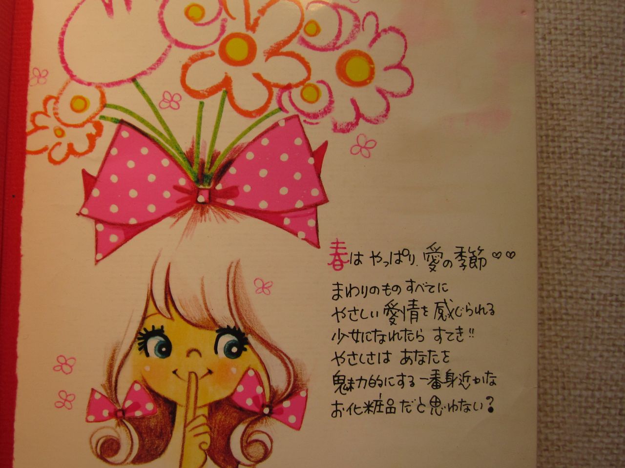 レトロかわいい図鑑 日記帳