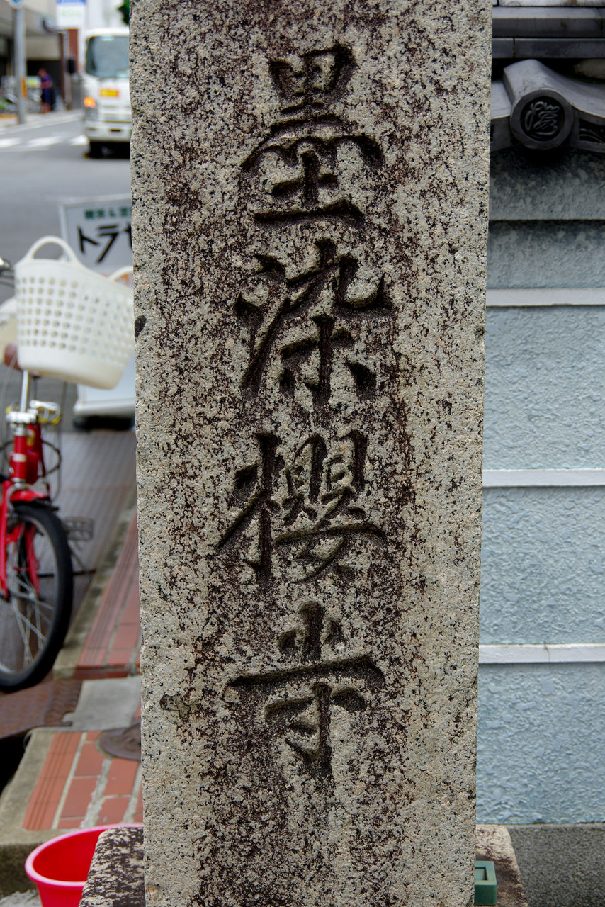 墨染櫻寺 京都秘封探訪 墨染櫻寺 京都秘封探訪