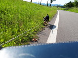 20180604_151709(0)