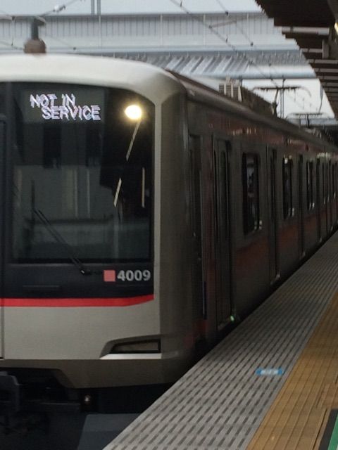 イメージ 31
