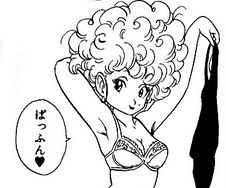あえて言おう ランファンであると ドラゴンボール新作の話 株式会社しゅてる あえて言おう ランファンであると ドラゴンボール新作の話 株式会社しゅてる