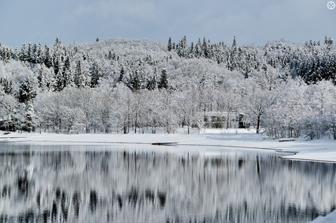 スクリーンショット 2025-03-28 020619