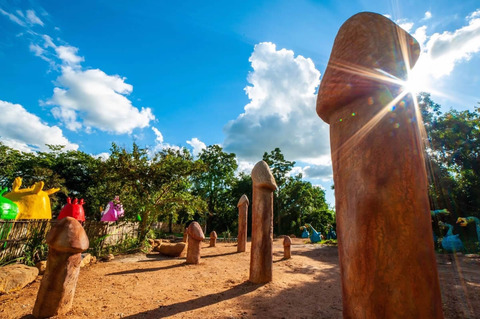 Traitep-Dream-Forest