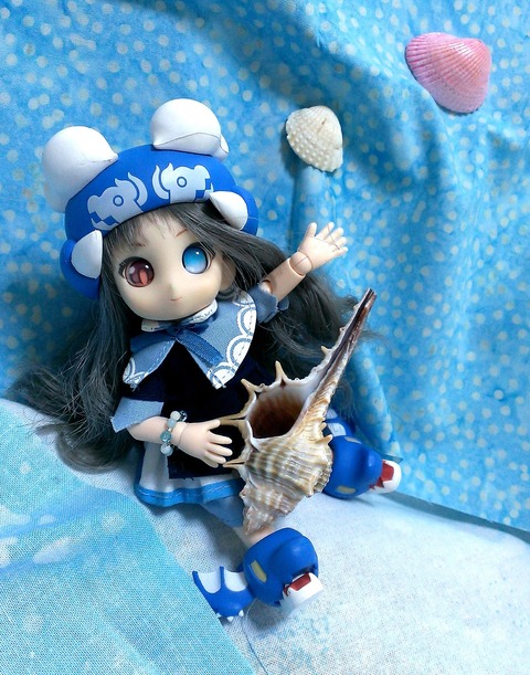 赤茄子2