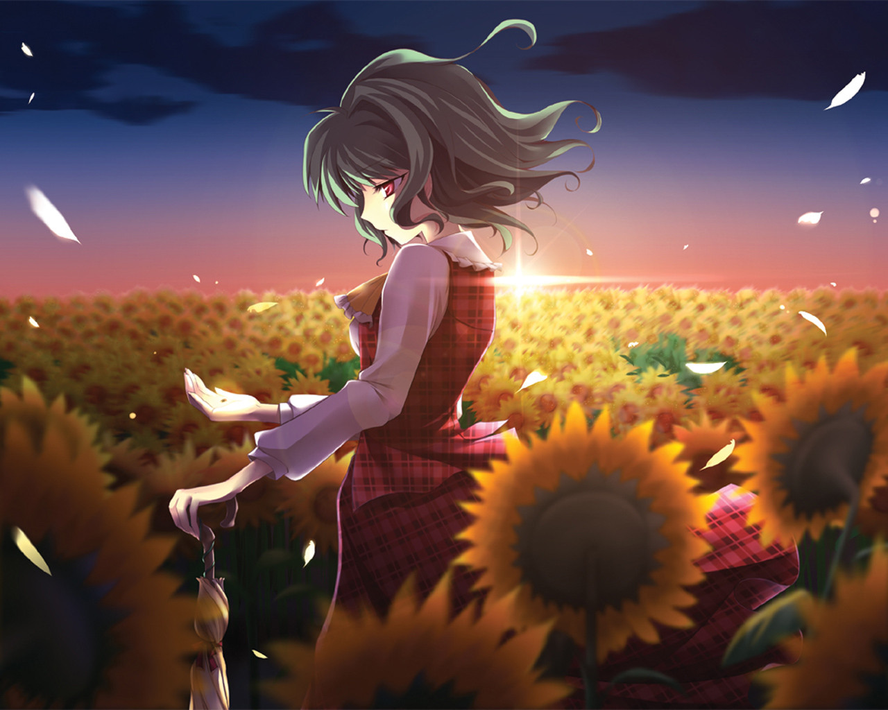 東方画像 風見幽香 Part7 18枚 東方画像まとめ