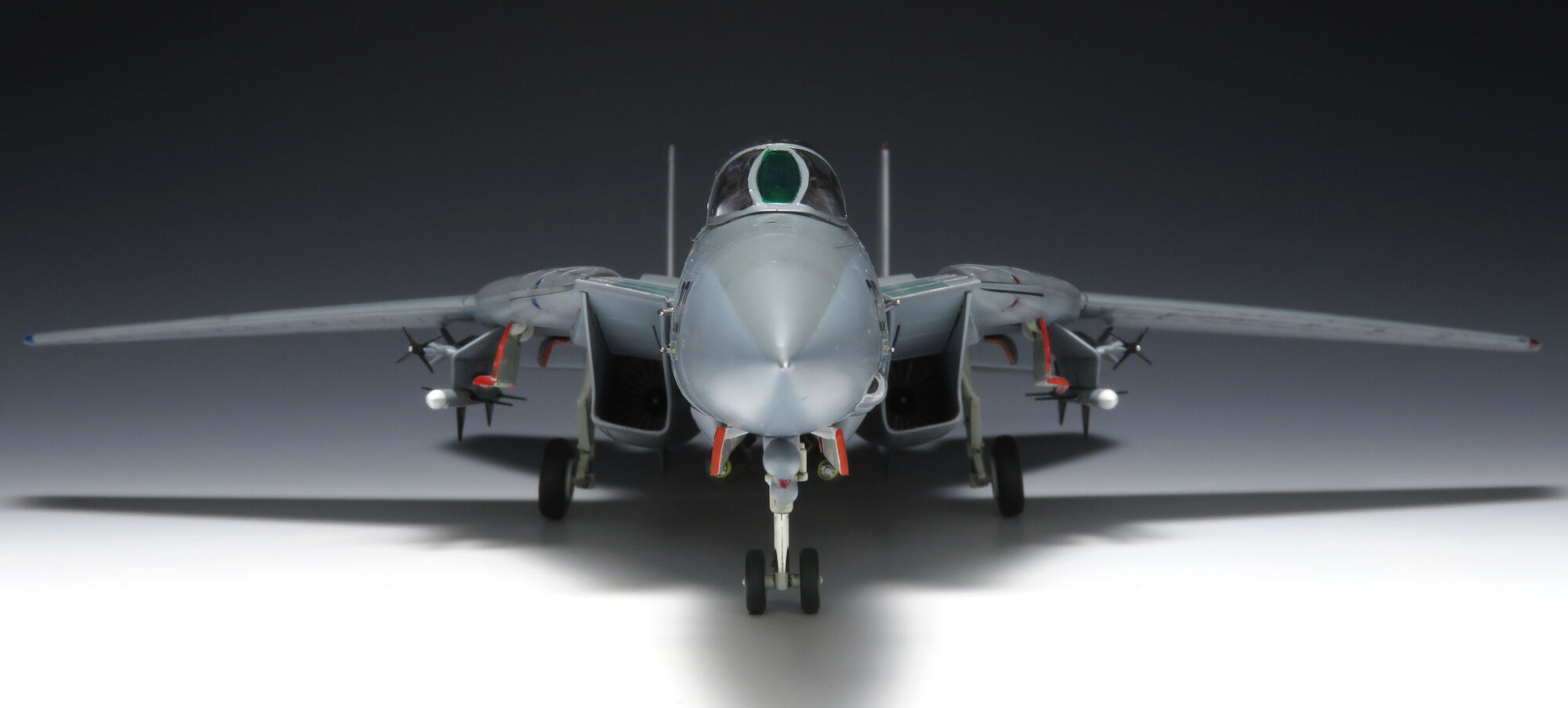 ハセガワ 1/72 F-14A トムキャット（ロービジ） 旧版 完成｜VF-84仕様
