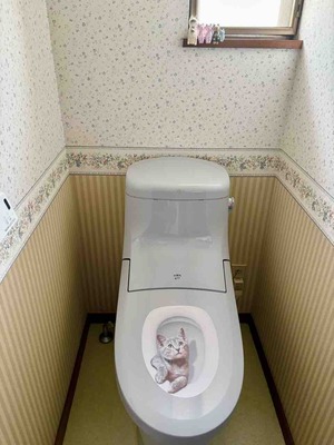 FullSizeRender