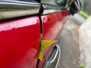 IMG_0600