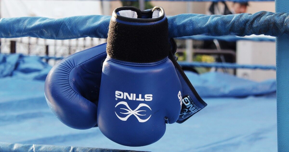 フィットボクシング（ゲーム）に関するWebメディア