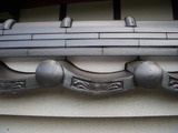 DSCN3132