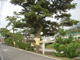 DSCN3117