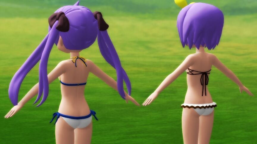 メタモルフォーゼ水着 Bright Birds Eco スポーツ ブリーフ セパレート 水着 FKS027L