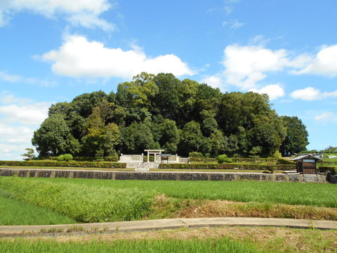 240718_日並皇子の命の馬並めて