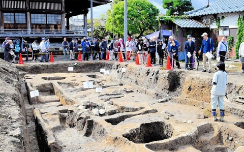 240612_北へゆく雁のつばさにことづてよ