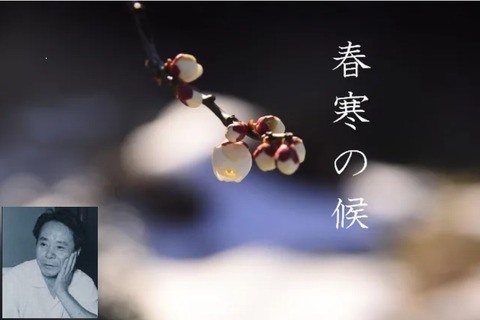 260208_春寒し夜されば疼く脳の芯