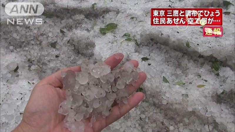 1528 氷雨ふる 街より入りし 地下道に 他俳句 万葉歳時記 一日一葉 1528 氷雨ふる 街より入りし 地下道に 他俳句 万葉歳時記 一日一葉