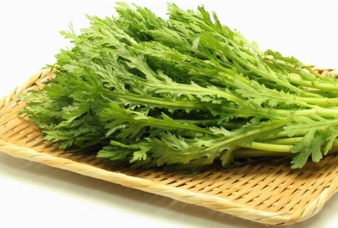 241219_白菜に春菊が入り魚が入り