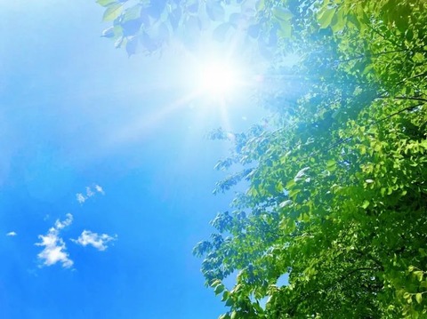 250628_うしろより忽然と日や梅雨あがる