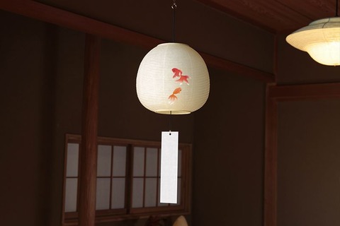 260728_夏風邪はなかなか老に重かりき