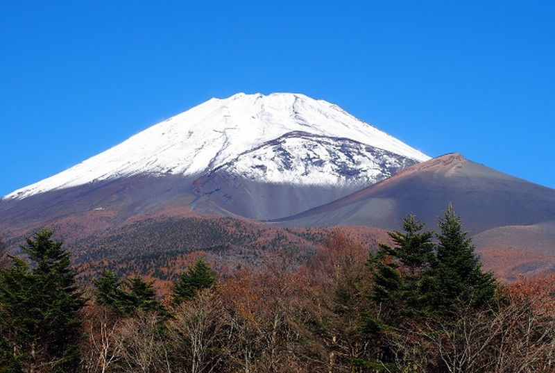 1166 道すがら 富士のけぶりも わかざりき 万葉歳時記 一日一葉