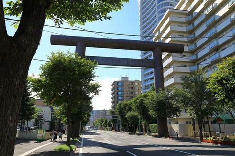 250308_花咲きて落つアカシヤの樹のまはり