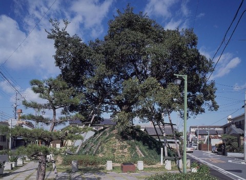 240304_正月や冥途の旅の一里塚