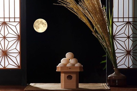 251006_名月をとってくれろと泣く子かな