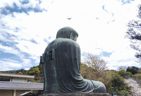 250803_大仏様も背中を開けて涼をとる