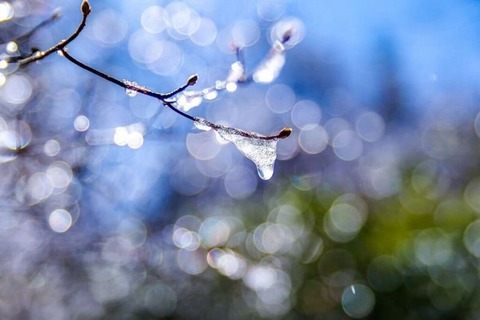 260205_水神の裾吹く風に氷解く