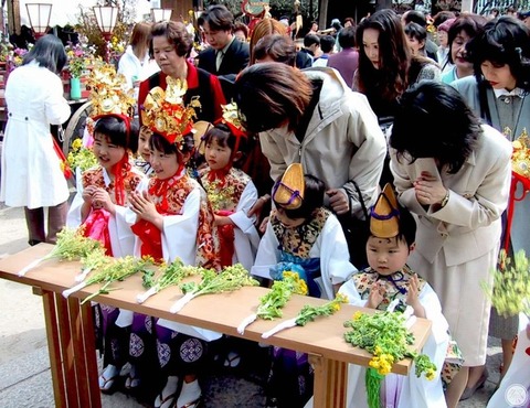 260225_ともしびの洩れくる菜種御供の森