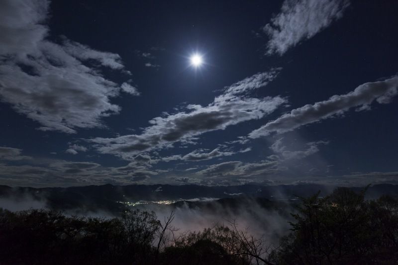 333 雨晴れて 清く照りたる この月夜 万葉歳時記 一日一葉