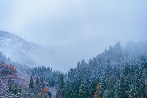 251207_雪のみや降りぬとは思ふ山里に