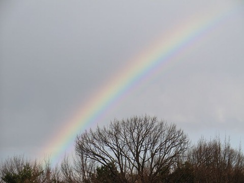 241123_冬の虹途切れたままにきらめいて