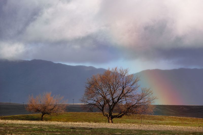 1143 むら雲の 絶え間の空に 虹立ちて 万葉歳時記 一日一葉