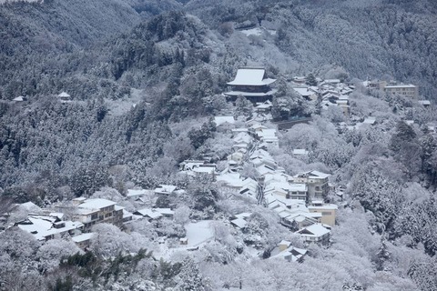 250123_朝ぼらけ有明の月とみるまでに