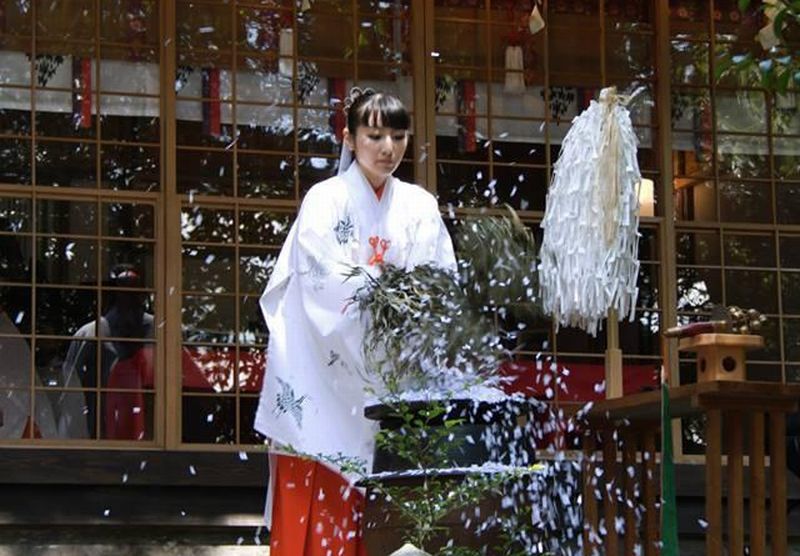 万葉歳時記 一日一葉