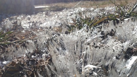 251126_遠山に日の当たりたる枯野かな