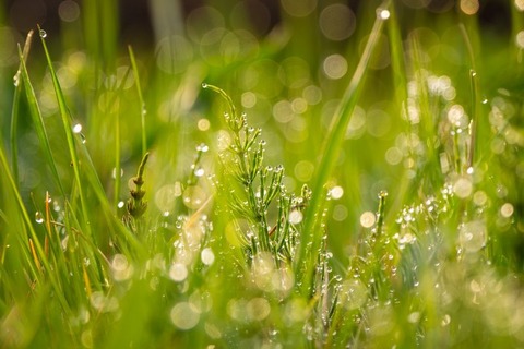 250907_何事も過ぎてゆくもの白露の日