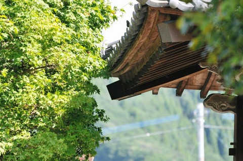 250621_夏至の日の幽かに聴こゆ馬の鈴