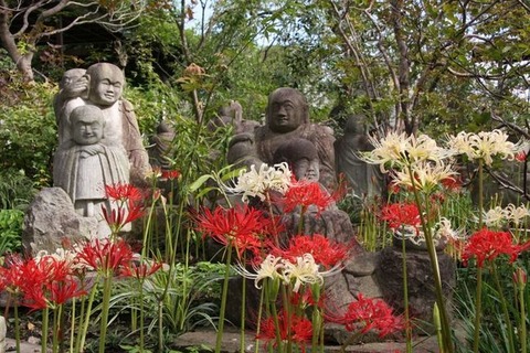 250920_秋彼岸近づく経をよみ習ふ