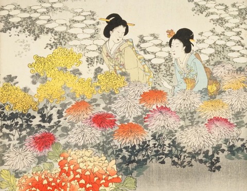 260909_長月の九日ごとに摘む菊の花も