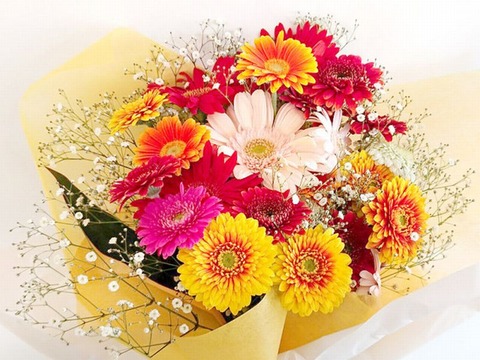 251010_明日の日の華やぐが如ガーベラ挿す