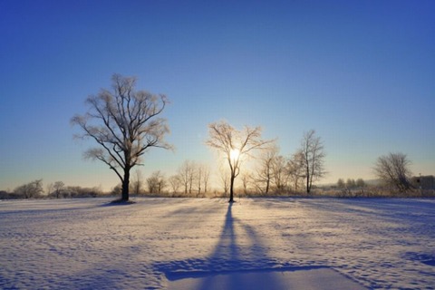 251222_一陽来復手の内の息あたたかし