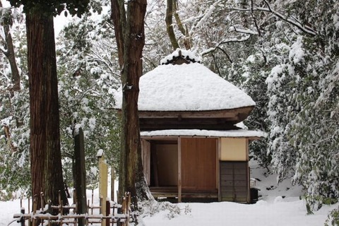 250227_如月に雪の隙なく降ることは